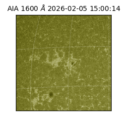 saia - 2026-02-05T15:00:14.125000