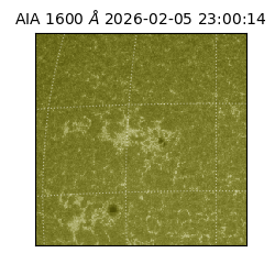 saia - 2026-02-05T23:00:14.126000