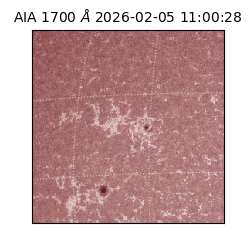 saia - 2026-02-05T11:00:28.710000