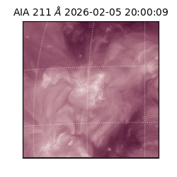 saia - 2026-02-05T20:00:09.634000