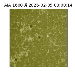 saia - 2026-02-05T08:00:14.125000