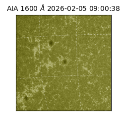 saia - 2026-02-05T09:00:38.121000