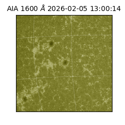 saia - 2026-02-05T13:00:14.130000