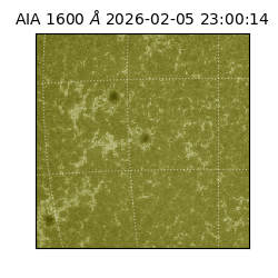 saia - 2026-02-05T23:00:14.126000