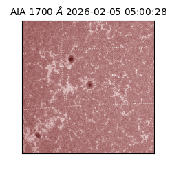 saia - 2026-02-05T05:00:28.709000