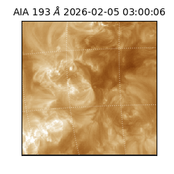 saia - 2026-02-05T03:00:06.810000