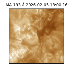 saia - 2026-02-05T13:00:16.843000