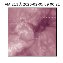 saia - 2026-02-05T09:00:21.630000