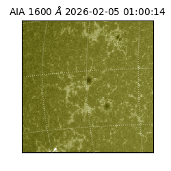 saia - 2026-02-05T01:00:14.118000