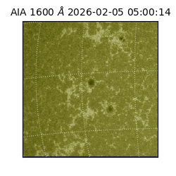 saia - 2026-02-05T05:00:14.118000