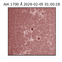 saia - 2026-02-05T01:00:28.721000