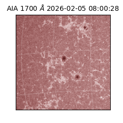 saia - 2026-02-05T08:00:28.721000