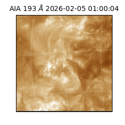 saia - 2026-02-05T01:00:04.835000