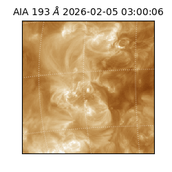 saia - 2026-02-05T03:00:06.810000