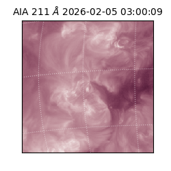 saia - 2026-02-05T03:00:09.640000