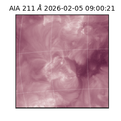 saia - 2026-02-05T09:00:21.630000