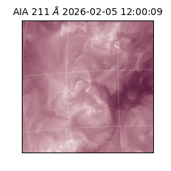 saia - 2026-02-05T12:00:09.618000