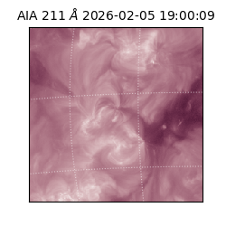 saia - 2026-02-05T19:00:09.626000