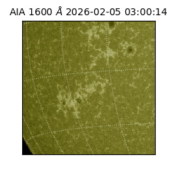 saia - 2026-02-05T03:00:14.126000