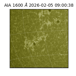 saia - 2026-02-05T09:00:38.121000