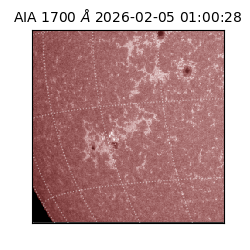 saia - 2026-02-05T01:00:28.721000