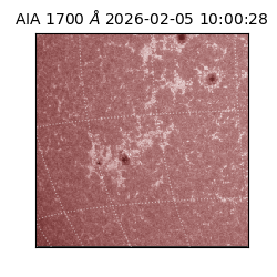 saia - 2026-02-05T10:00:28.709000