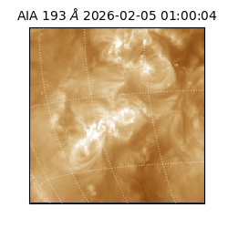 saia - 2026-02-05T01:00:04.835000