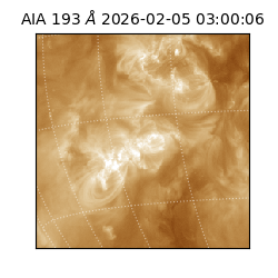 saia - 2026-02-05T03:00:06.810000