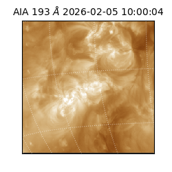 saia - 2026-02-05T10:00:04.842000