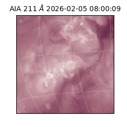 saia - 2026-02-05T08:00:09.619000