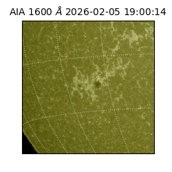 saia - 2026-02-05T19:00:14.133000