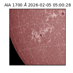 saia - 2026-02-05T05:00:28.709000