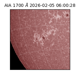 saia - 2026-02-05T06:00:28.710000