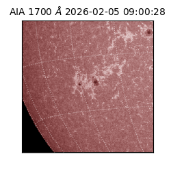 saia - 2026-02-05T09:00:28.709000