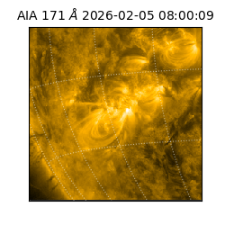 saia - 2026-02-05T08:00:09.341000