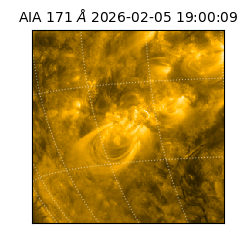 saia - 2026-02-05T19:00:09.350000