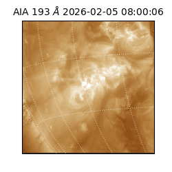 saia - 2026-02-05T08:00:06.800000