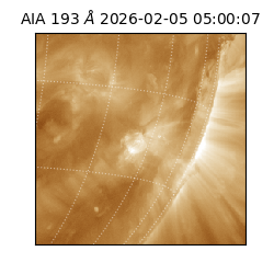 saia - 2026-02-05T05:00:07.045000