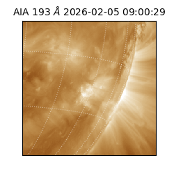 saia - 2026-02-05T09:00:29.619000