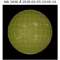 saia - 2026-02-05T20:00:14.126000