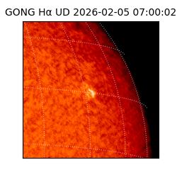 gong - 2026-02-05T07:00:02