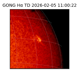 gong - 2026-02-05T11:00:22