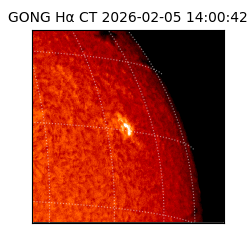 gong - 2026-02-05T14:00:42
