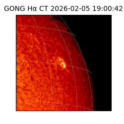 gong - 2026-02-05T19:00:42