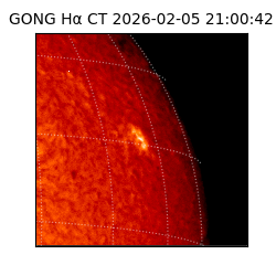 gong - 2026-02-05T21:00:42