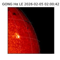 gong - 2026-02-05T02:00:42