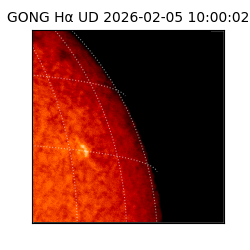 gong - 2026-02-05T10:00:02