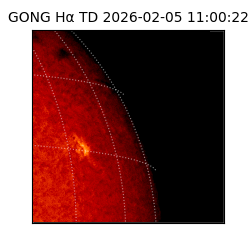 gong - 2026-02-05T11:00:22