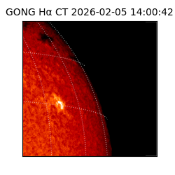 gong - 2026-02-05T14:00:42