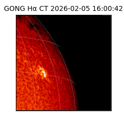 gong - 2026-02-05T16:00:42